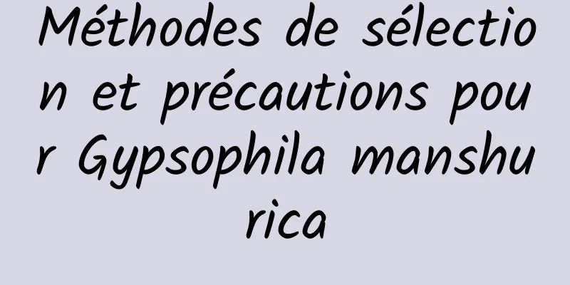 Méthodes de sélection et précautions pour Gypsophila manshurica