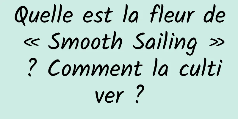 Quelle est la fleur de « Smooth Sailing » ? Comment la cultiver ?