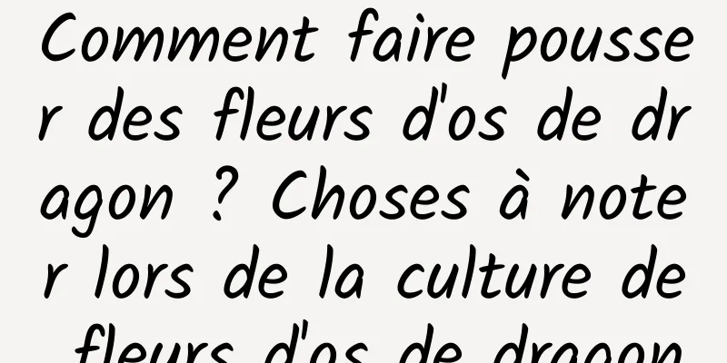 Comment faire pousser des fleurs d'os de dragon ? Choses à noter lors de la culture de fleurs d'os de dragon