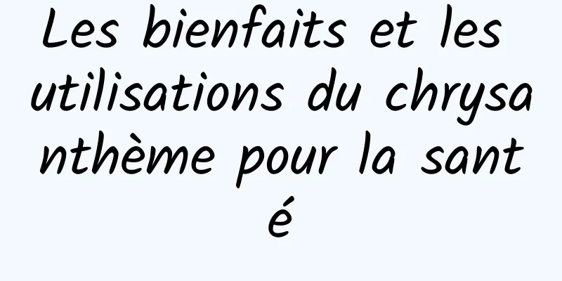 Les bienfaits et les utilisations du chrysanthème pour la santé