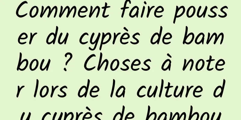 Comment faire pousser du cyprès de bambou ? Choses à noter lors de la culture du cyprès de bambou