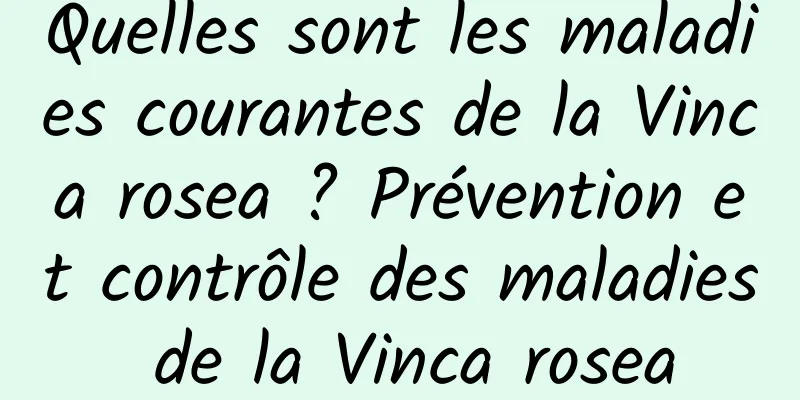 Quelles sont les maladies courantes de la Vinca rosea ? Prévention et contrôle des maladies de la Vinca rosea