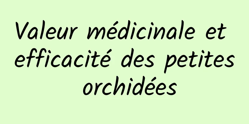 Valeur médicinale et efficacité des petites orchidées