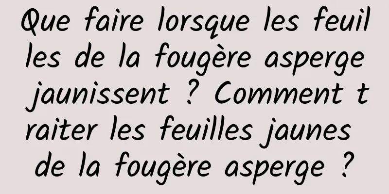 Que faire lorsque les feuilles de la fougère asperge jaunissent ? Comment traiter les feuilles jaunes de la fougère asperge ?