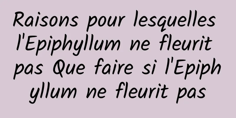 Raisons pour lesquelles l'Epiphyllum ne fleurit pas Que faire si l'Epiphyllum ne fleurit pas