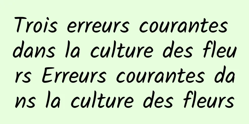 Trois erreurs courantes dans la culture des fleurs Erreurs courantes dans la culture des fleurs