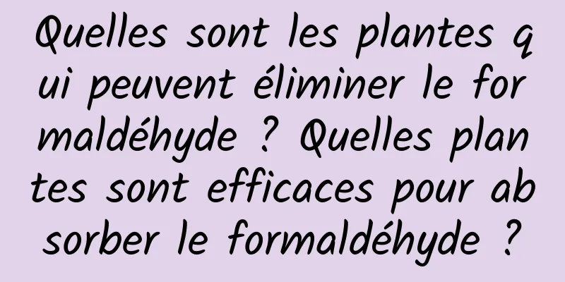 Quelles sont les plantes qui peuvent éliminer le formaldéhyde ? Quelles plantes sont efficaces pour absorber le formaldéhyde ?