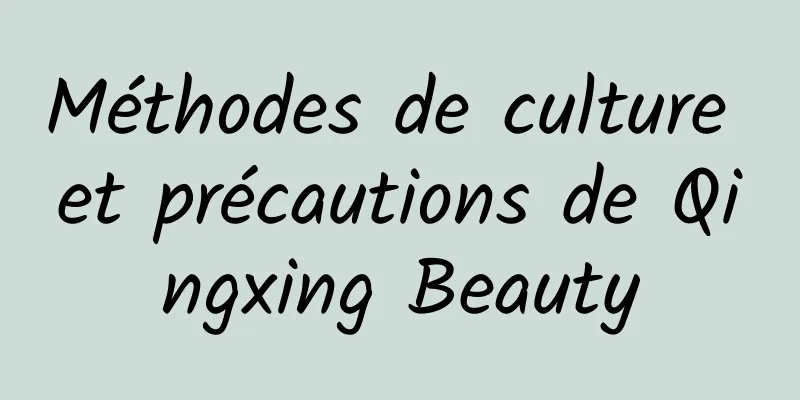 Méthodes de culture et précautions de Qingxing Beauty