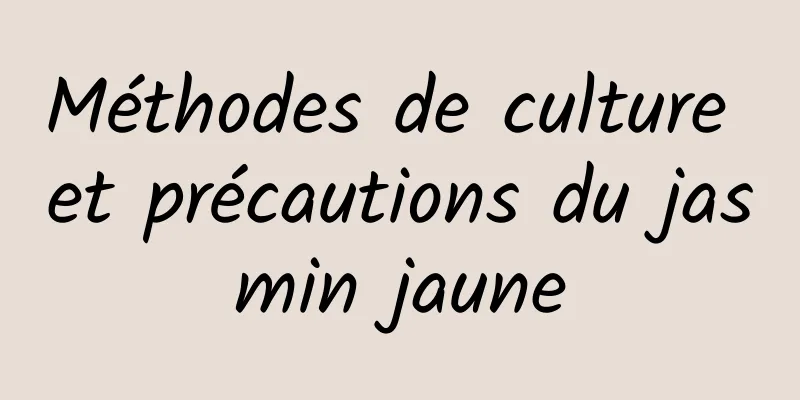 Méthodes de culture et précautions du jasmin jaune