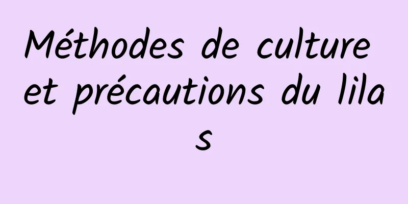 Méthodes de culture et précautions du lilas