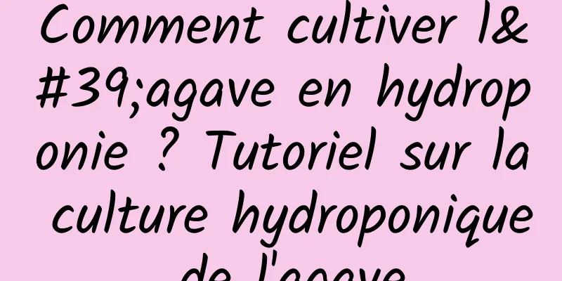 Comment cultiver l'agave en hydroponie ? Tutoriel sur la culture hydroponique de l'agave