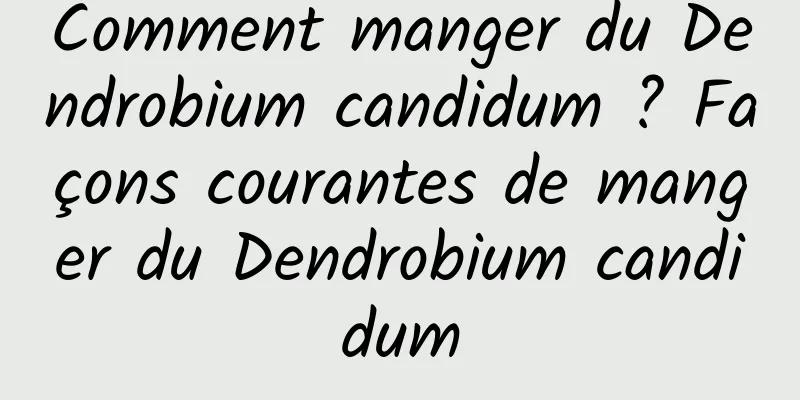 Comment manger du Dendrobium candidum ? Façons courantes de manger du Dendrobium candidum