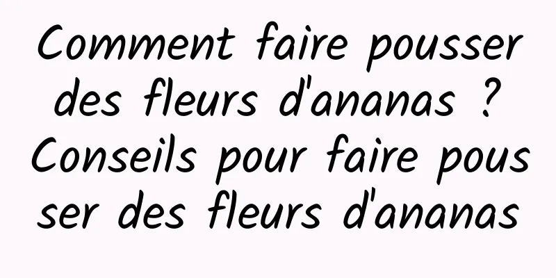 Comment faire pousser des fleurs d'ananas ? Conseils pour faire pousser des fleurs d'ananas