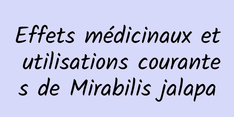 Effets médicinaux et utilisations courantes de Mirabilis jalapa