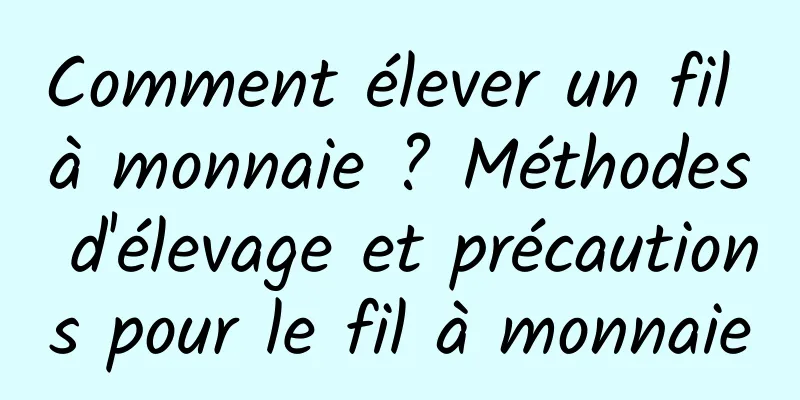 Comment élever un fil à monnaie ? Méthodes d'élevage et précautions pour le fil à monnaie