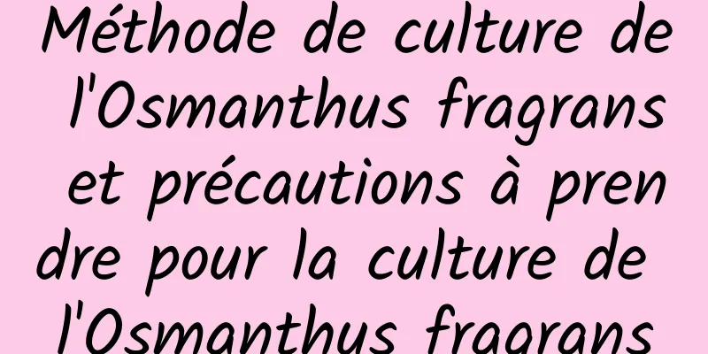 Méthode de culture de l'Osmanthus fragrans et précautions à prendre pour la culture de l'Osmanthus fragrans