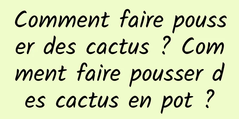 Comment faire pousser des cactus ? Comment faire pousser des cactus en pot ?