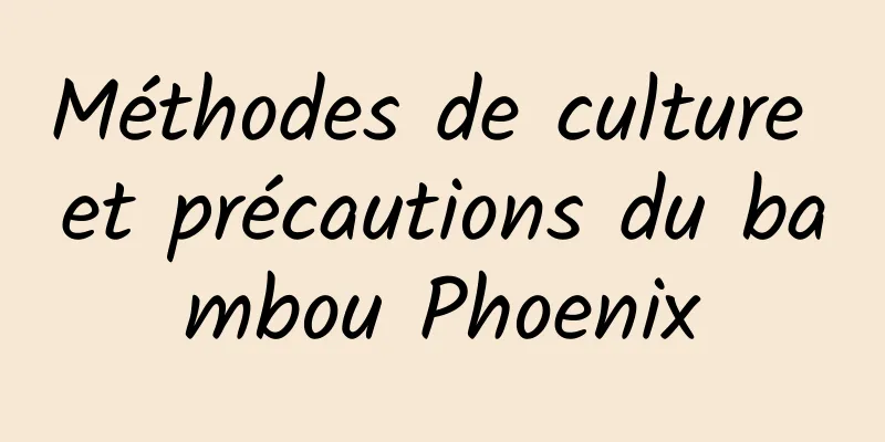 Méthodes de culture et précautions du bambou Phoenix