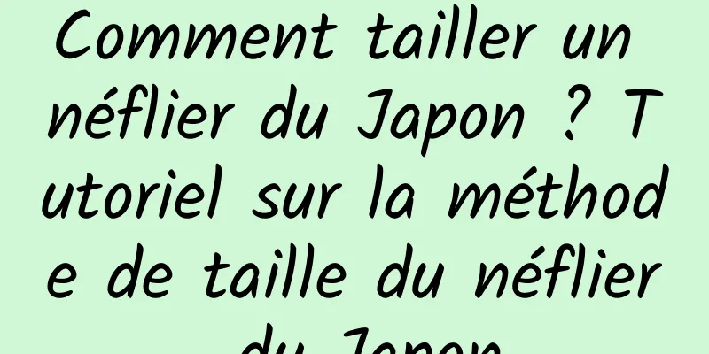 Comment tailler un néflier du Japon ? Tutoriel sur la méthode de taille du néflier du Japon