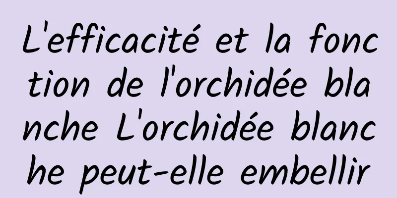 L'efficacité et la fonction de l'orchidée blanche L'orchidée blanche peut-elle embellir