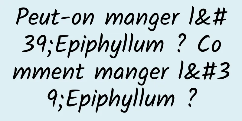 Peut-on manger l'Epiphyllum ? Comment manger l'Epiphyllum ?