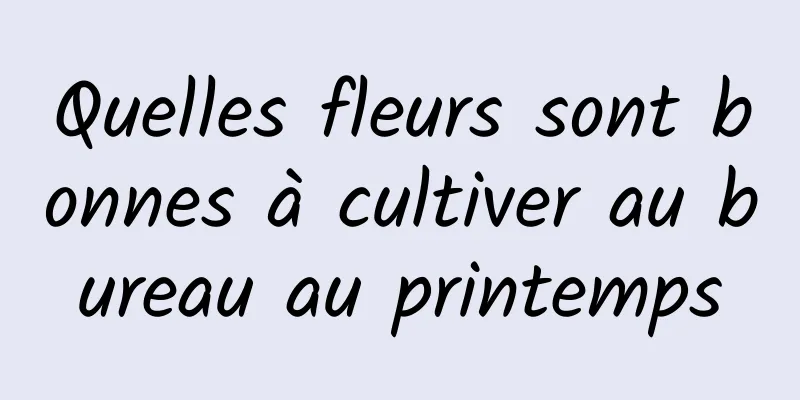 Quelles fleurs sont bonnes à cultiver au bureau au printemps