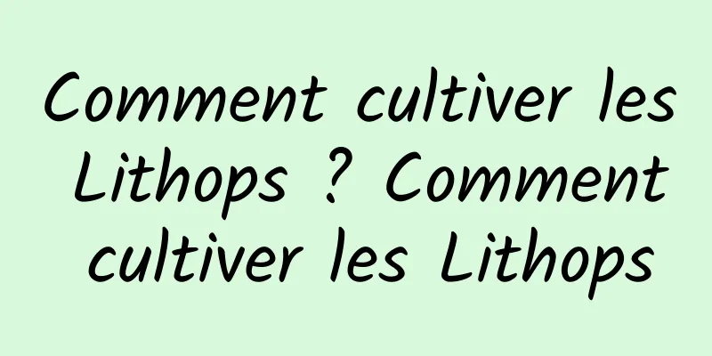 Comment cultiver les Lithops ? Comment cultiver les Lithops