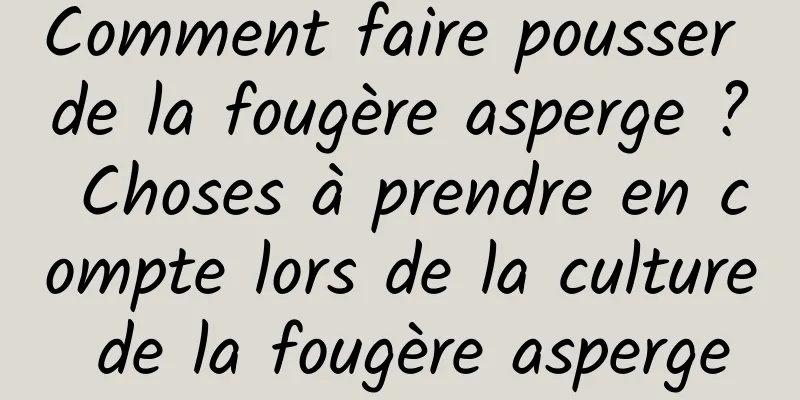 Comment faire pousser de la fougère asperge ? Choses à prendre en compte lors de la culture de la fougère asperge