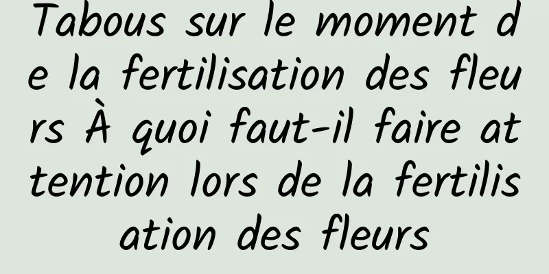 Tabous sur le moment de la fertilisation des fleurs À quoi faut-il faire attention lors de la fertilisation des fleurs