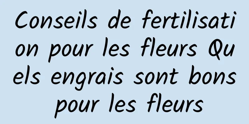 Conseils de fertilisation pour les fleurs Quels engrais sont bons pour les fleurs