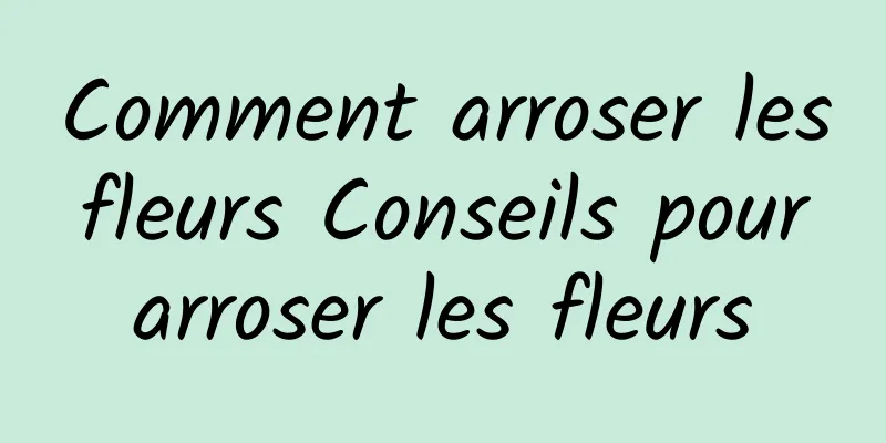 Comment arroser les fleurs Conseils pour arroser les fleurs