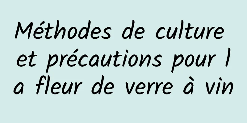 Méthodes de culture et précautions pour la fleur de verre à vin