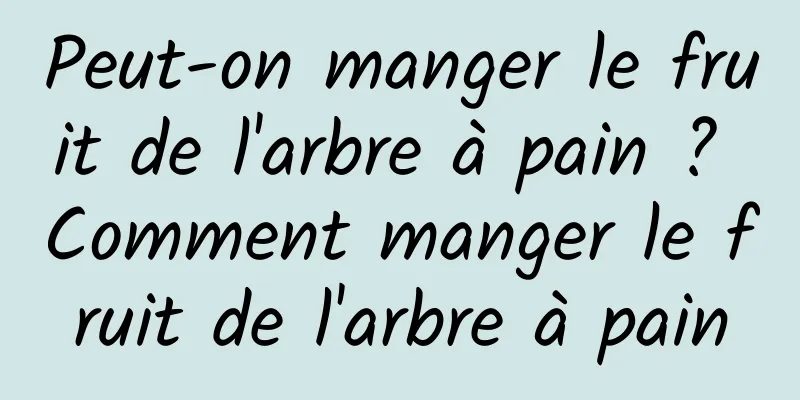 Peut-on manger le fruit de l'arbre à pain ? Comment manger le fruit de l'arbre à pain