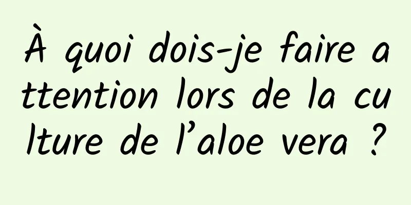 À quoi dois-je faire attention lors de la culture de l’aloe vera ?