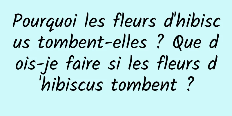 Pourquoi les fleurs d'hibiscus tombent-elles ? Que dois-je faire si les fleurs d'hibiscus tombent ?