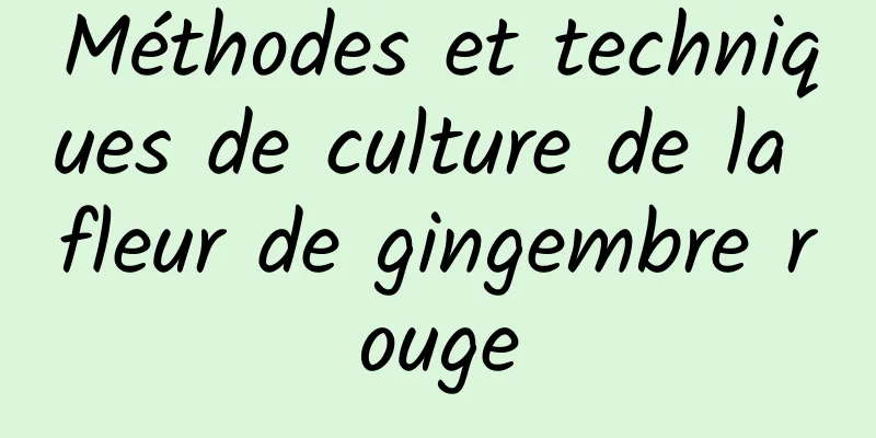 Méthodes et techniques de culture de la fleur de gingembre rouge