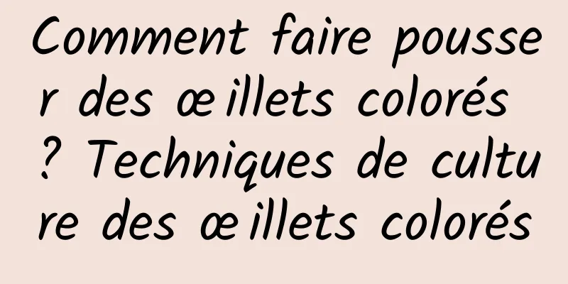 Comment faire pousser des œillets colorés ? Techniques de culture des œillets colorés