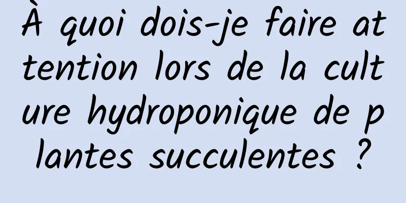 À quoi dois-je faire attention lors de la culture hydroponique de plantes succulentes ?