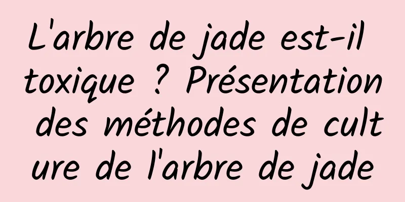 L'arbre de jade est-il toxique ? Présentation des méthodes de culture de l'arbre de jade