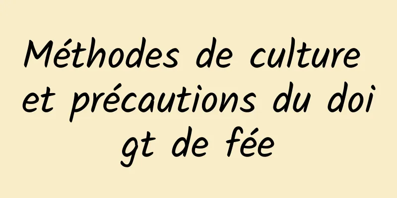 Méthodes de culture et précautions du doigt de fée