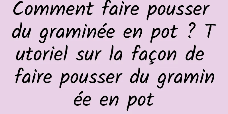 Comment faire pousser du graminée en pot ? Tutoriel sur la façon de faire pousser du graminée en pot