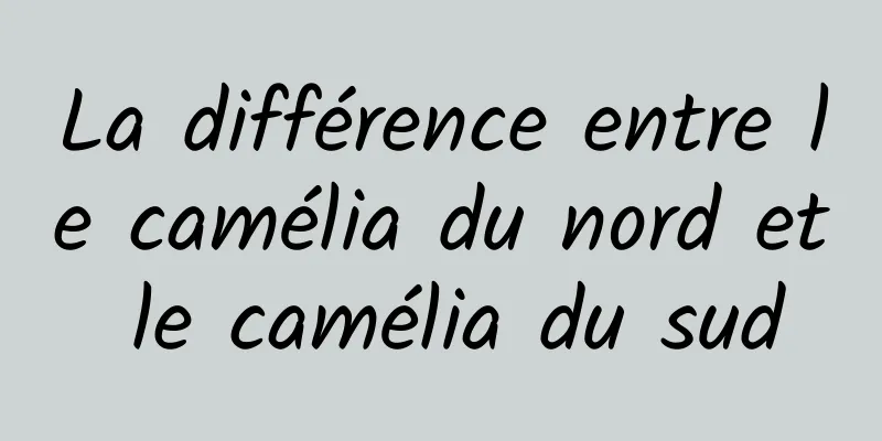 La différence entre le camélia du nord et le camélia du sud