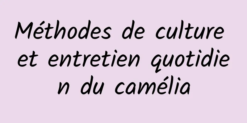 Méthodes de culture et entretien quotidien du camélia