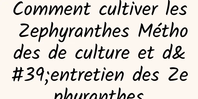 Comment cultiver les Zephyranthes Méthodes de culture et d'entretien des Zephyranthes