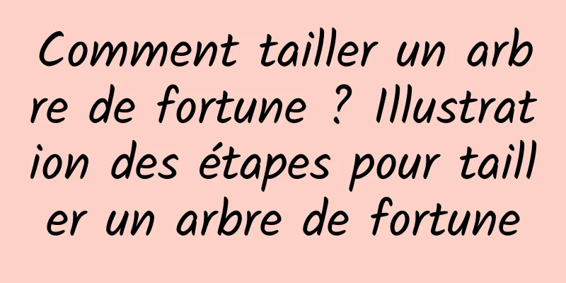 Comment tailler un arbre de fortune ? Illustration des étapes pour tailler un arbre de fortune