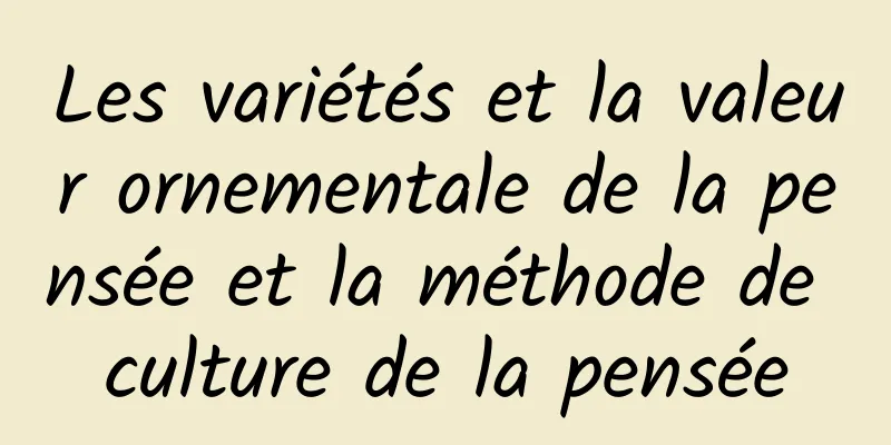 Les variétés et la valeur ornementale de la pensée et la méthode de culture de la pensée