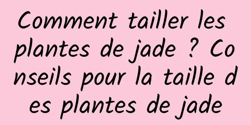 Comment tailler les plantes de jade ? Conseils pour la taille des plantes de jade