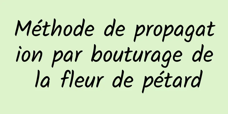 Méthode de propagation par bouturage de la fleur de pétard