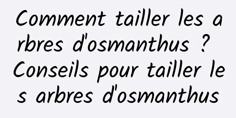 Comment tailler les arbres d'osmanthus ? Conseils pour tailler les arbres d'osmanthus