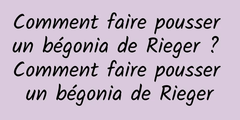 Comment faire pousser un bégonia de Rieger ? Comment faire pousser un bégonia de Rieger